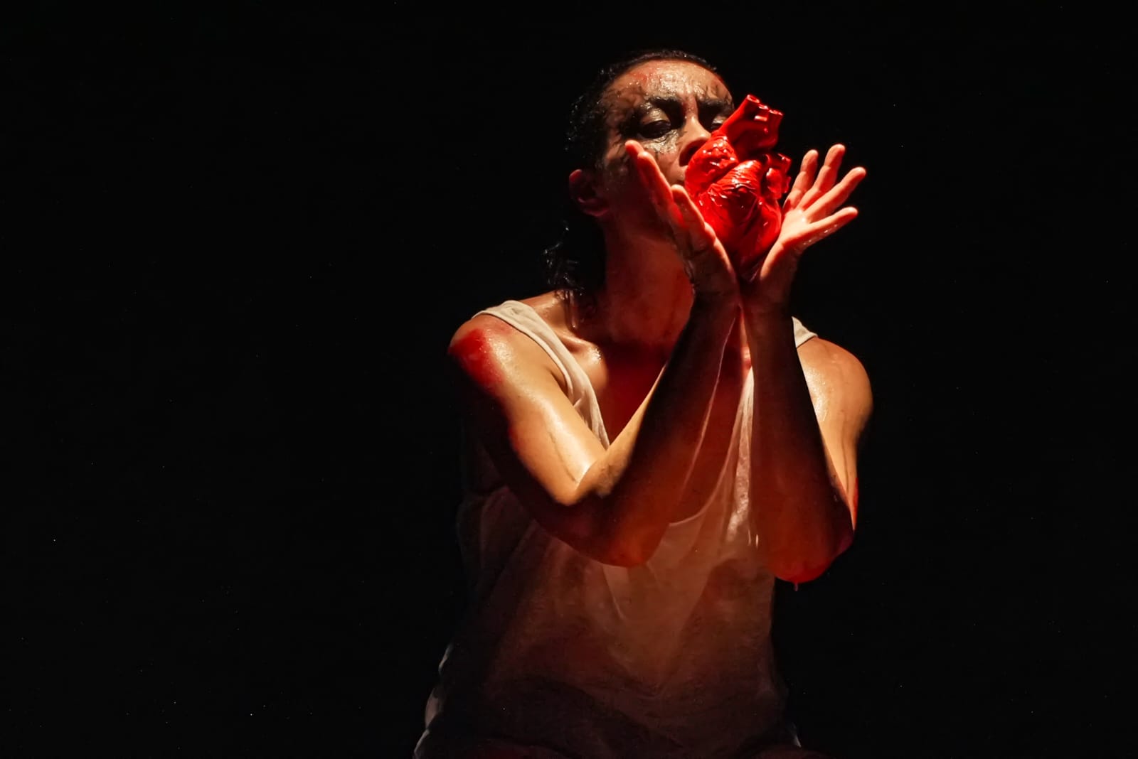 Spectacle Animale St&eacute;phanie Chariau