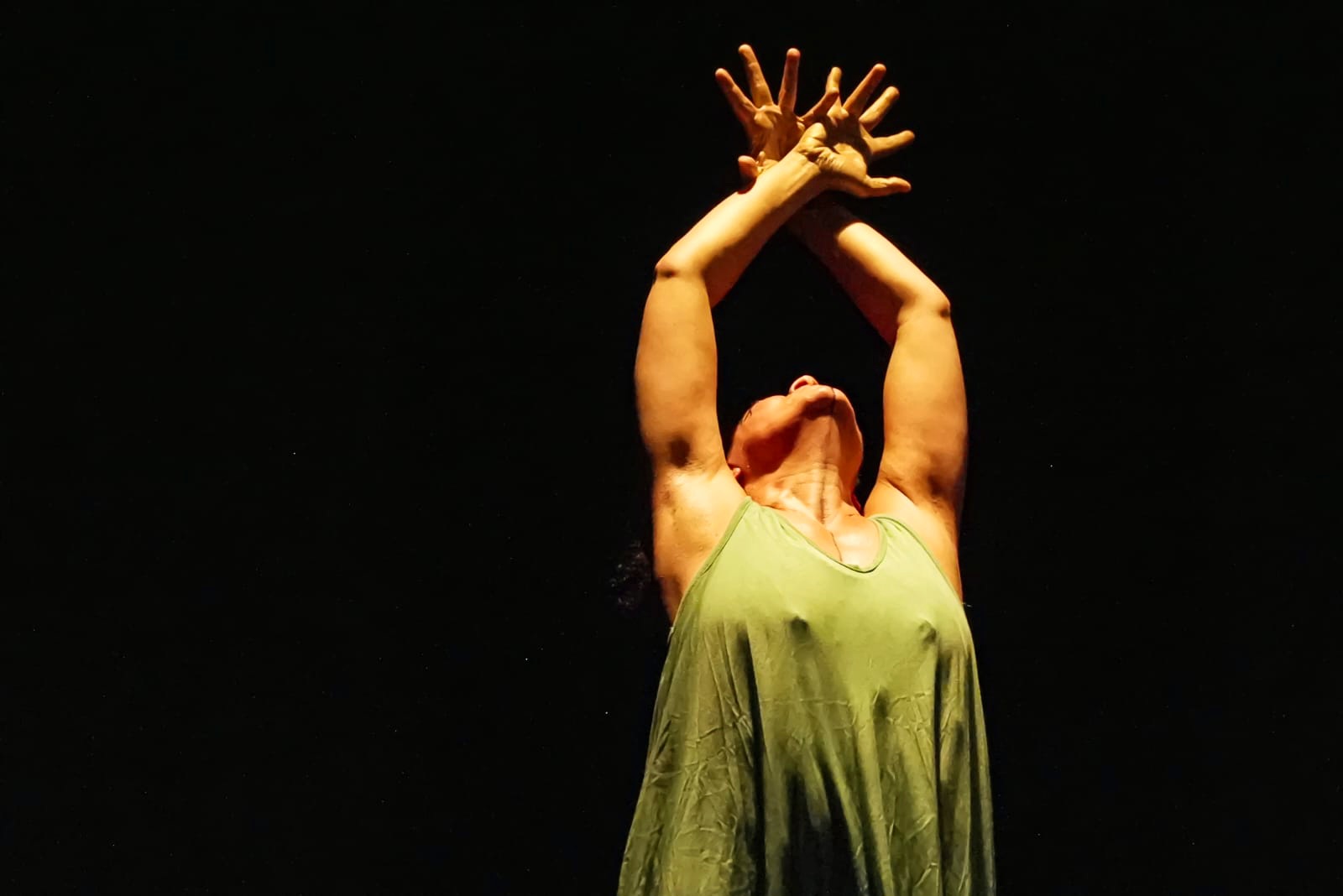 Spectacle Animale St&eacute;phanie Chariau