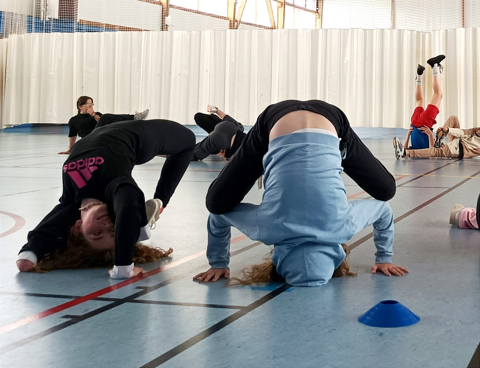 M&eacute;diation en milieu scolaire - Animale